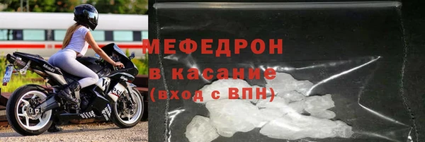 шишки Няндома