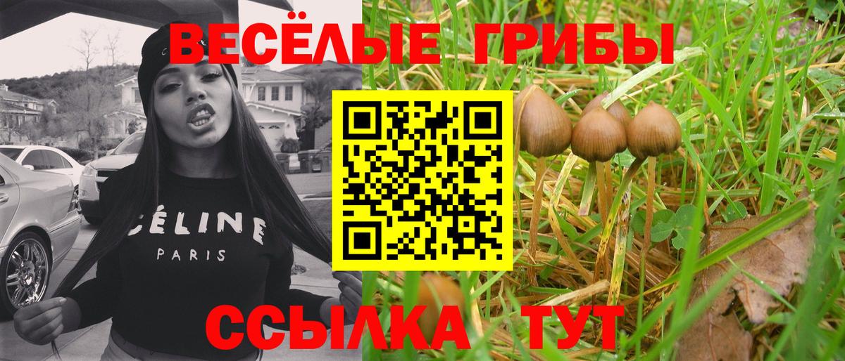 Псилоцибиновые грибы Cubensis  Псилоцибиновые грибы Magic Shrooms  Тула  Вход с VPN 