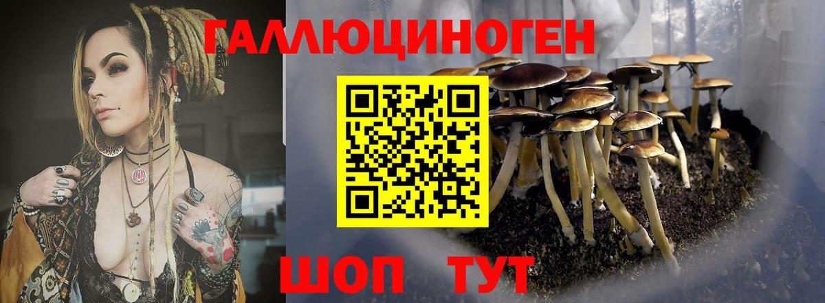 Гашиш  Тула  Лсд 25  МЕФ кристаллы  Бошки Шишки  Вход с VPN 